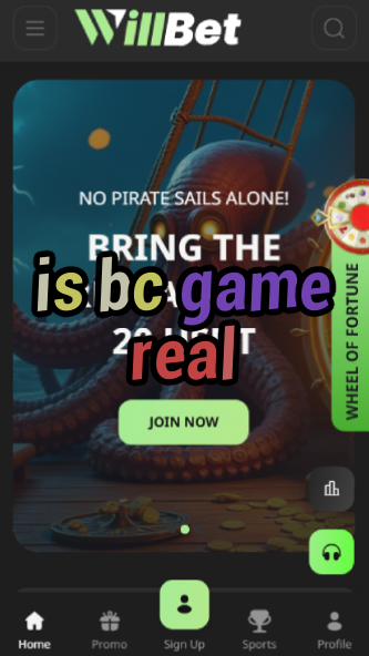 Is BC Game Real? - Legitimacy Verification-vz72fvrf.com