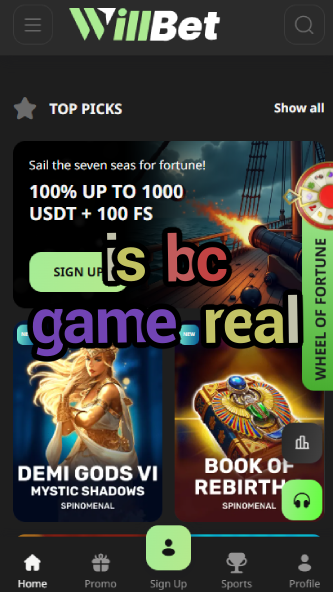 Is BC Game Real? - Legitimacy Verification-vz72fvrf.com