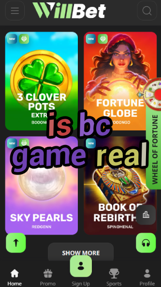Is BC Game Real? - Legitimacy Verification-vz72fvrf.com